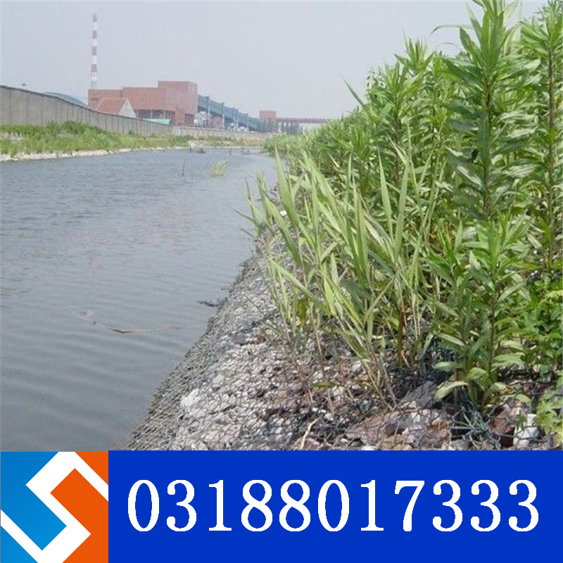 重慶巴南長江防洪賓格籠護岸綜合治理二期工程 重慶巴南長江防洪賓格籠護岸綜合治理二期工程