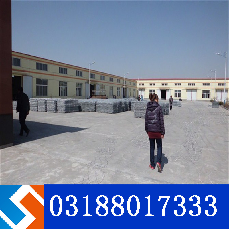 雷諾護(hù)墊和賓格籠是一個(gè)產(chǎn)品嗎? 雷諾護(hù)墊和賓格籠是一個(gè)產(chǎn)品嗎?