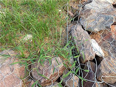 江蘇格賓網(wǎng)擋墻工程