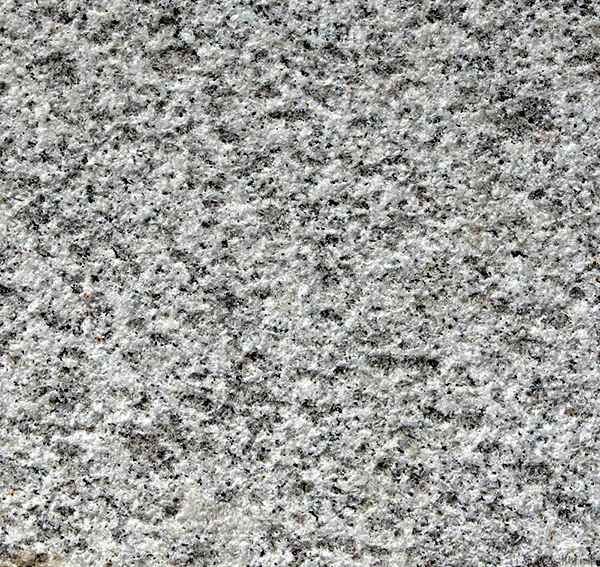 ����1#�������