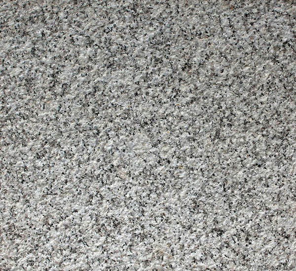 ����2#����֦��