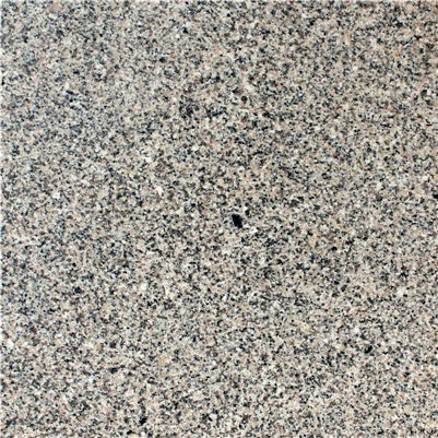 ֥���2#���⣩