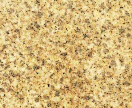 �S���黨���r